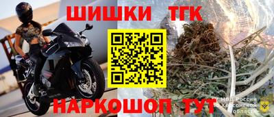 стафф Лесосибирск