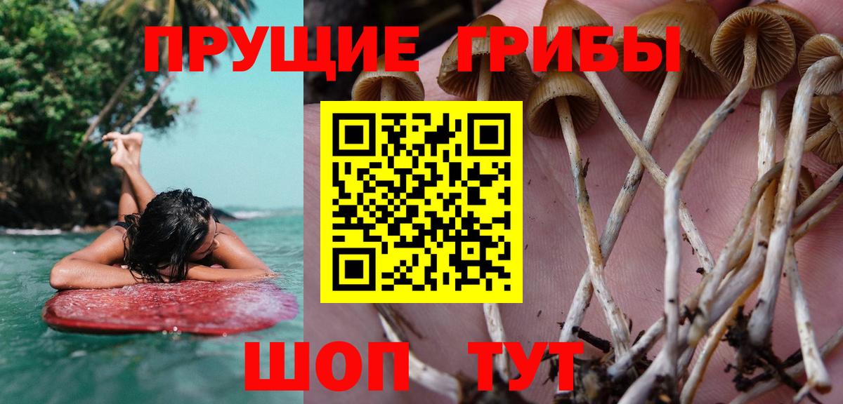 Псилоцибиновые грибы ЛСД Долгопрудный